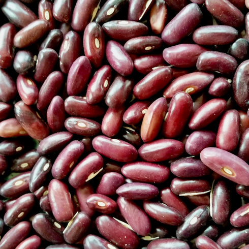 Provider Bean